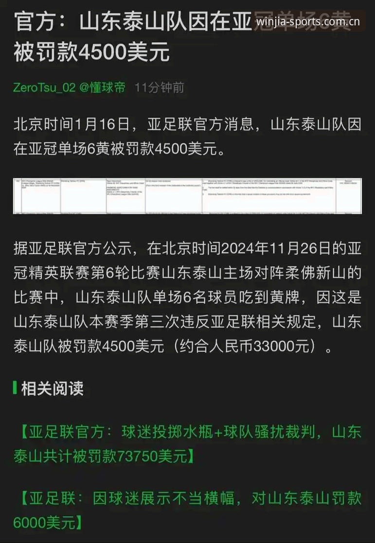 盈嘉体育电脑版下载 足协公布第三批禁足名单,哪些违规行为最触目惊心?